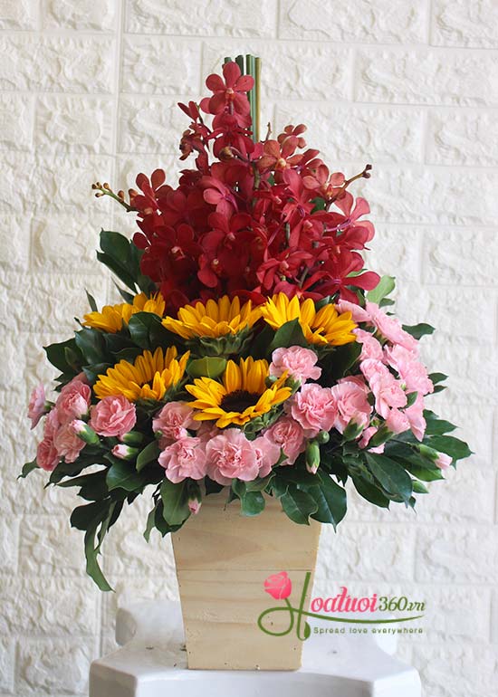 Hoa chúc mừng khởi đầu mới suôn sẻ Hoa chúc mừng khởi đầu mới suôn sẻ